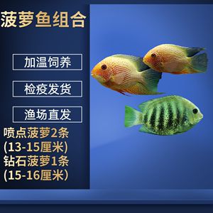 黑云魚冬季防病措施，黑云魚冬季養(yǎng)殖水溫控制技巧黑云魚冬季防病藥物使用建議 觀賞魚市場（混養(yǎng)魚） 第5張