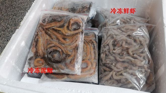 巴西亞魚飼料營養(yǎng)搭配，巴西亞魚的飼料營養(yǎng)搭配應(yīng)當(dāng)注重蛋白質(zhì)的含量和質(zhì)量和質(zhì)量 觀賞魚市場（混養(yǎng)魚） 第3張