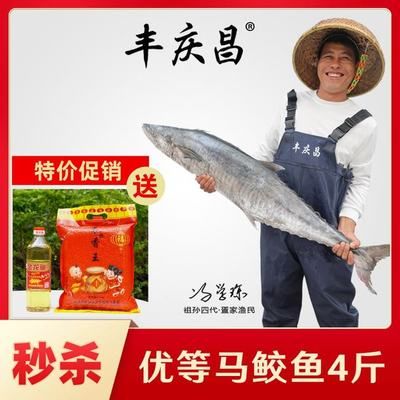 金龍魚海南總代理，關(guān)于金龍魚海南總代理的詳細(xì)信息 龍魚百科 第4張