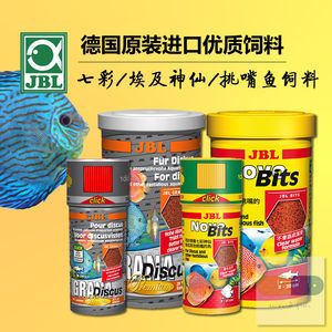 野彩魚市場價格趨勢，野彩魚市場價格趨勢分析 觀賞魚市場（混養(yǎng)魚） 第2張