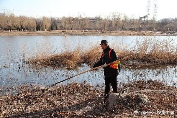 龍魚缸什么魚清潔最好養(yǎng)，龍魚缸的清潔與養(yǎng)魚選擇 水族問答