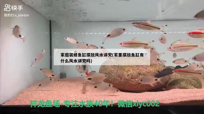 魚缸過濾器怎么按，魚缸過濾器維護(hù)周期如何選擇適合的過濾器 魚缸百科 第6張