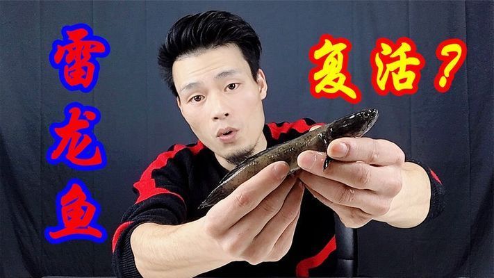 雷龍魚會(huì)不會(huì)假死