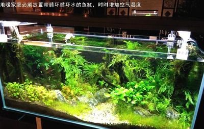 家用魚缸循環(huán)水過濾系統(tǒng)圖，如何自制簡易魚缸過濾器魚缸過濾器品牌推薦 魚缸百科 第4張