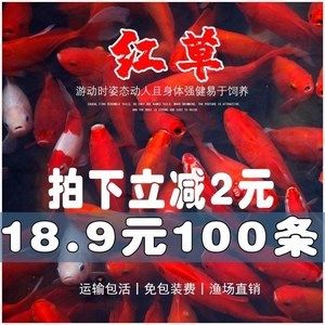 紅龍魚飼料用戶評價(jià)匯總 觀賞魚市場（混養(yǎng)魚） 第3張