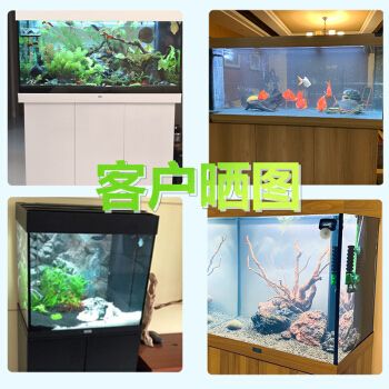 JUWEL魚缸 魚缸百科 第4張