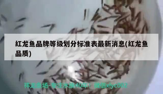 魚缸品質(zhì)等級排名，魚缸品牌性價比對比 魚缸百科 第5張