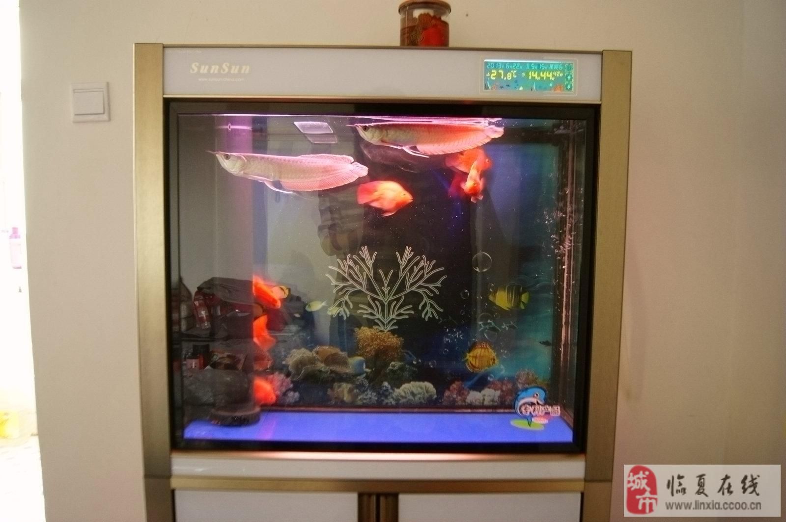 森森魚缸顯示屏換線，森森魚缸顯示屏尺寸型號(hào)查詢魚缸顯示屏安裝視頻教程 魚缸百科 第5張