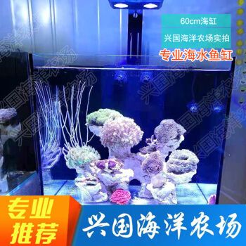 興國海（Singoseafarm）魚缸，興國海（singoseafarm）海水魚缸套裝價格對比 魚缸百科 第4張