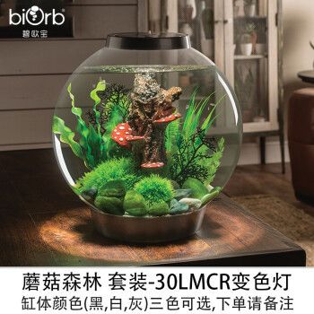 biOrb魚缸，biorb魚缸的優(yōu)勢 魚缸百科 第2張