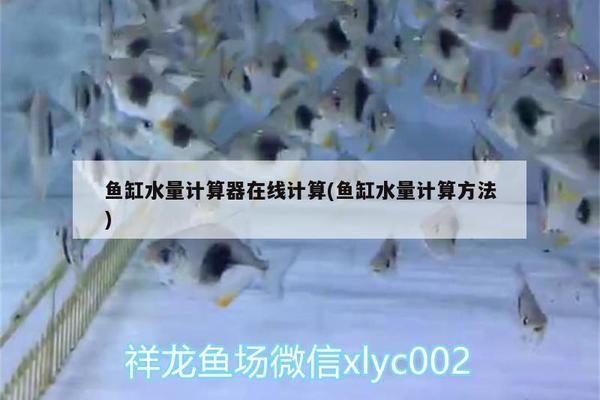 金龍魚魚缸要求多少升水 魚缸百科 第5張