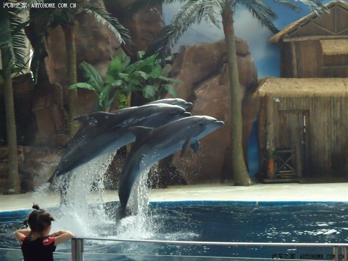 鞍山水族館，遼寧省鞍山市水族館