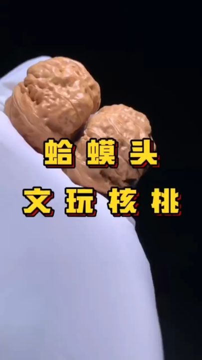 蛤蟆頭文玩核桃，蛤蟆頭文玩核桃，以其獨(dú)特的造型和質(zhì)感而聞名 觀賞魚(yú)論壇