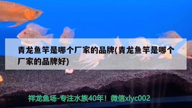 青龍魚(yú)竿是哪個(gè)牌子的好，名倫青龍魚(yú)竿的使用感受 龍魚(yú)百科 第1張