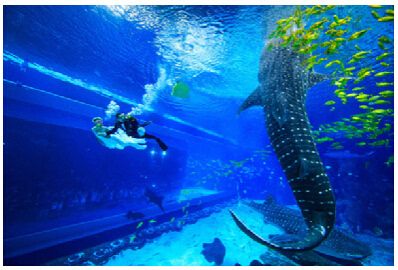 南寧水族館，中國廣西壯族自治區(qū)南寧市一個大型水族館旨在展示和保護(hù)各種海洋生物