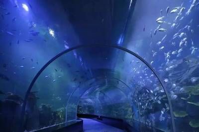 南寧水族館，中國廣西壯族自治區(qū)南寧市一個大型水族館旨在展示和保護(hù)各種海洋生物