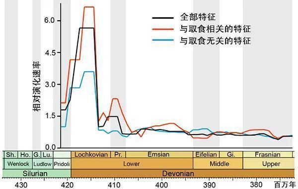 黃龍魚吃珊瑚嗎怎么喂，如何正確的喂黃龍魚吃珊瑚？ 水族問答