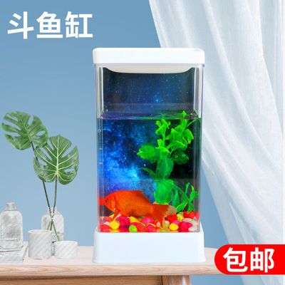 魚缸背景圖片大全超清 原圖無水印，水族箱背景高清圖片下載魚缸裝飾創(chuàng)意設(shè)計(jì)方案 魚缸百科 第5張