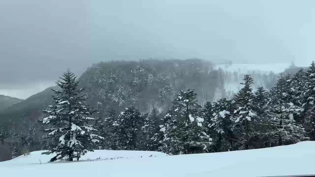 高山雪，高山雪是一種特殊的自然現(xiàn)象 觀賞魚論壇