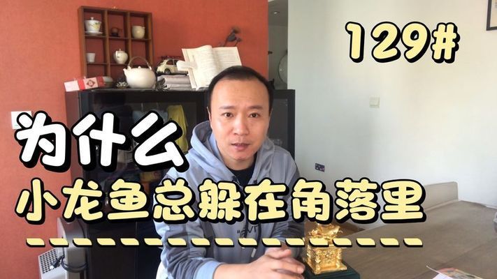 龍魚老孫被同行質(zhì)疑 龍魚百科 第5張