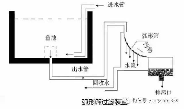 如何有效去除養(yǎng)殖水中的氨氮，養(yǎng)殖水中氨氮的重要性和方法，掌握有效的去除方法至關(guān)重要 觀賞魚市場(chǎng)（混養(yǎng)魚） 第5張