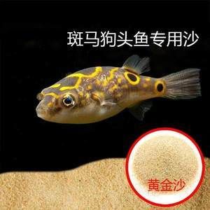 斑馬狗頭魚(yú)飼料添加劑選擇，斑馬狗頭魚(yú)飼料添加劑對(duì)于健康和營(yíng)養(yǎng)均衡至關(guān)重要 觀賞魚(yú)市場(chǎng)（混養(yǎng)魚(yú)） 第5張