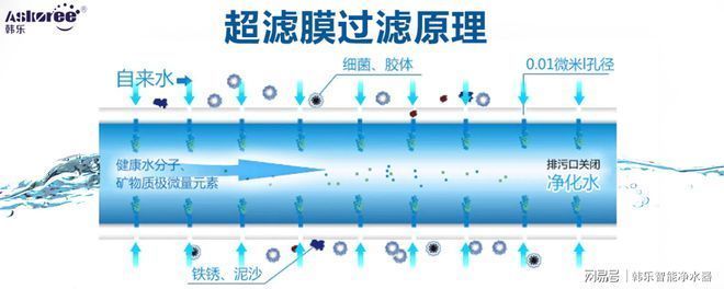 濾材堵塞對水質(zhì)的影響，濾材堵塞對水質(zhì)的影響以及如何有效預防和解決這一問題 觀賞魚市場（混養(yǎng)魚） 第5張