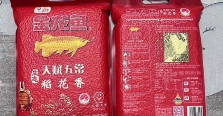 金龍魚有哪些品類，金龍魚是一種受歡迎的觀賞魚還涵蓋了廣泛的食品產(chǎn)品線 龍魚百科 第4張