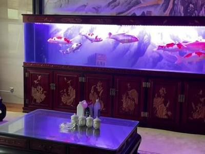 龍魚老孫水族用品店，龍魚老孫水族用品 龍魚百科 第2張