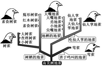 大嘴鯨魚繁殖期如何調(diào)節(jié)水質(zhì)？，大嘴鯨魚繁殖期ph值管理策略大嘴鯨魚繁殖期水溫控制技巧 觀賞魚市場（混養(yǎng)魚） 第2張