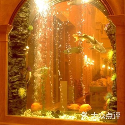 魚(yú)缸能放在正對(duì)門(mén)口的地方嗎，魚(yú)缸擺放的最佳位置如何選擇適合室內(nèi)養(yǎng)的魚(yú)缸防震措施 魚(yú)缸百科 第1張