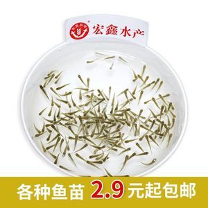 六角恐龍魚飼料吃進去又吐出來正常嗎，六角恐龍魚吃進去又吐出來的情況可能由多種因素引起 龍魚百科 第1張