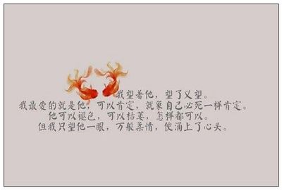 烏龍魚是什么魚做的，烏龍魚是什么類型的魚？ 水族問答