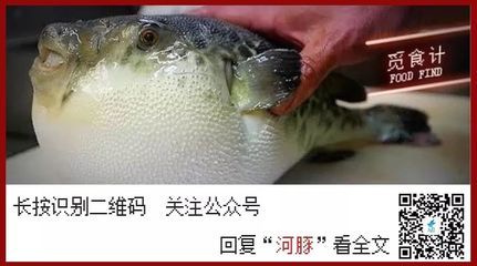 白子關(guān)刀魚凍傷急救方法，搜索結(jié)果未提及白子關(guān)刀魚凍傷急救方法無法準(zhǔn)確回答 觀賞魚市場（混養(yǎng)魚） 第4張