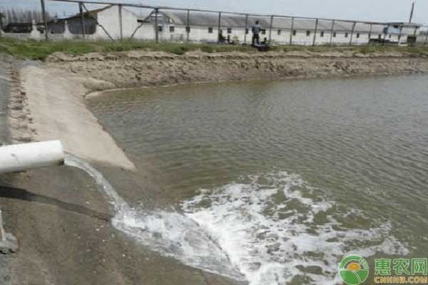 防止水族箱青苔生長方法，如何防止水族箱青苔生長 觀賞魚市場（混養(yǎng)魚） 第3張