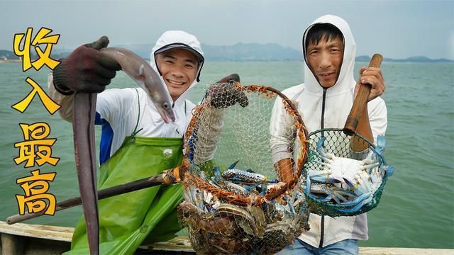 青龍魚好不好釣，青龍魚常見釣魚地點，青龍魚最佳垂釣季節(jié)，青龍魚餌料選擇指南 龍魚百科 第5張