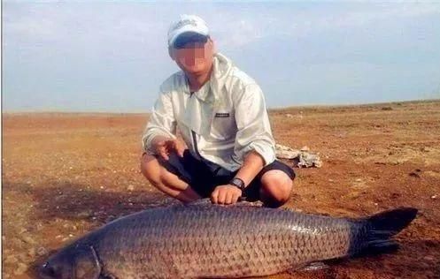 青龍魚好不好釣，青龍魚常見釣魚地點，青龍魚最佳垂釣季節(jié)，青龍魚餌料選擇指南 龍魚百科 第3張