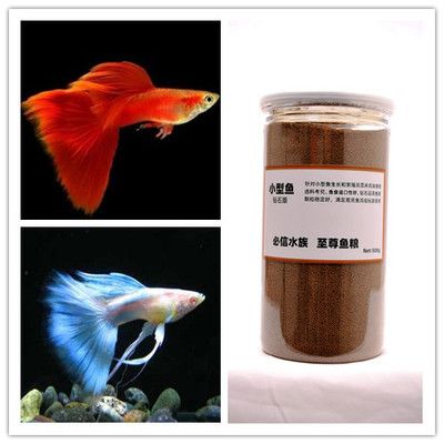 銀版魚幼魚飼料選擇指南，銀版魚幼魚的飼料選擇需要考慮到它們的生長階段和營養(yǎng)需求