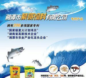 如何自制野彩魚飼料，自制野彩魚飼料原料質(zhì)量鑒別要點和注意事項 觀賞魚市場（混養(yǎng)魚） 第1張