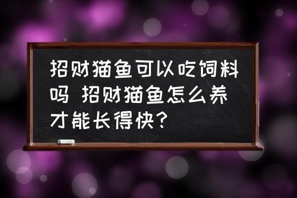 招財(cái)貓魚苗飼料選擇指南，招財(cái)貓魚苗飼料添加劑選擇,招財(cái)貓魚苗飼料喂食頻率