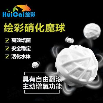 繪彩水族用戶評(píng)價(jià)如何，繪彩水族應(yīng)用 觀賞魚(yú)市場(chǎng)（混養(yǎng)魚(yú)） 第3張