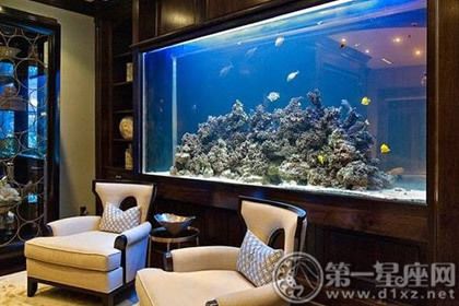 客廳西南方位擺放魚缸的好處，客廳西南方位擺放魚缸具有風(fēng)水上的好處