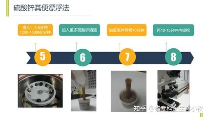 鞭毛蟲病糞便檢測的準確性，如何提高鞭毛蟲病糞便檢測準確性