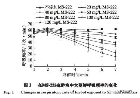 MS-222在不同水溫下的麻醉效果變化，ms-222在不同水溫下的麻醉效果會(huì)受到水溫影響