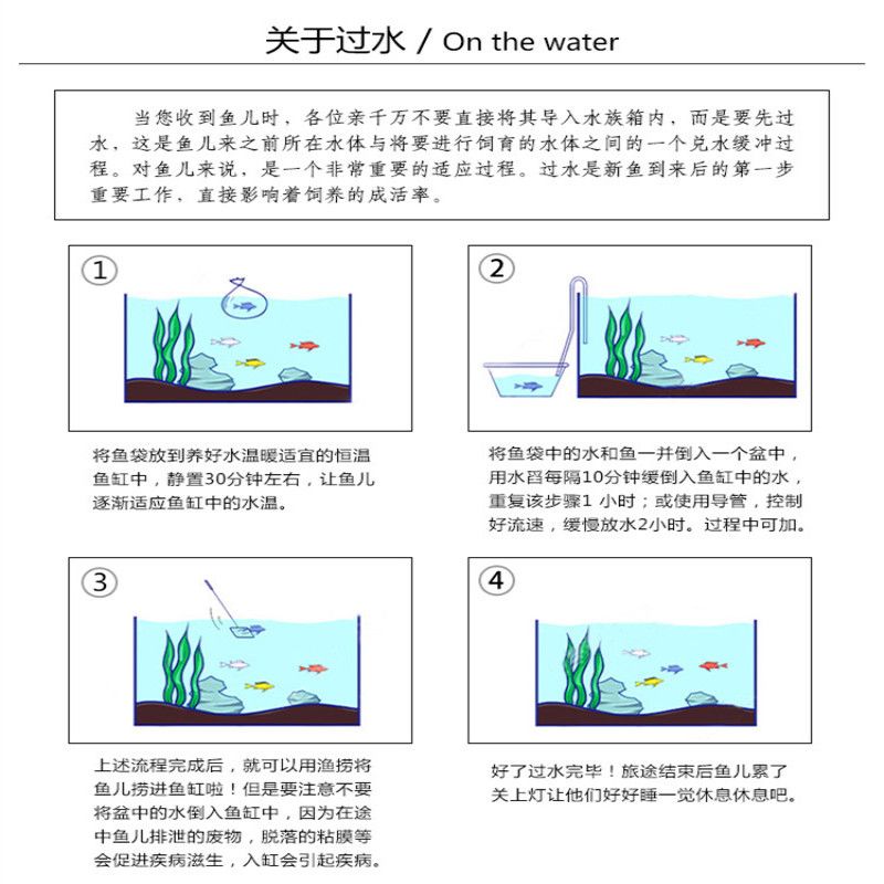 丹頂錦鯉換水后觀察要點(diǎn)，換水后需要觀察的幾個(gè)要點(diǎn) 觀賞魚市場（混養(yǎng)魚） 第4張