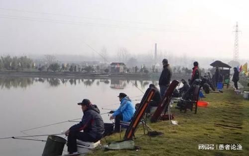 寶石魚苗日常巡視頻率，寶石魚苗日常巡視 觀賞魚市場（混養(yǎng)魚） 第2張