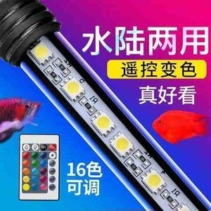 龍魚燈管好還是led燈好呢，龍魚燈管和led燈各有優(yōu)劣