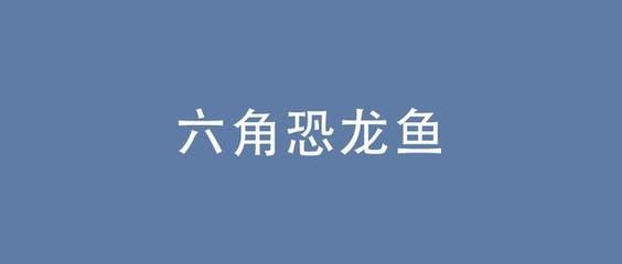 恐龍魚(yú)不吃食物怎么回事，恐龍魚(yú)不吃東西的原因及解決方案 龍魚(yú)百科 第4張