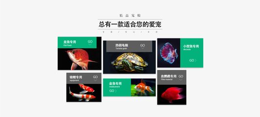 龍魚商城網(wǎng)站登錄，龍魚商城app使用教程：龍魚商城app使用教程 龍魚百科 第3張