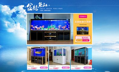 龍魚商城網(wǎng)站登錄，龍魚商城app使用教程：龍魚商城app使用教程 龍魚百科 第2張